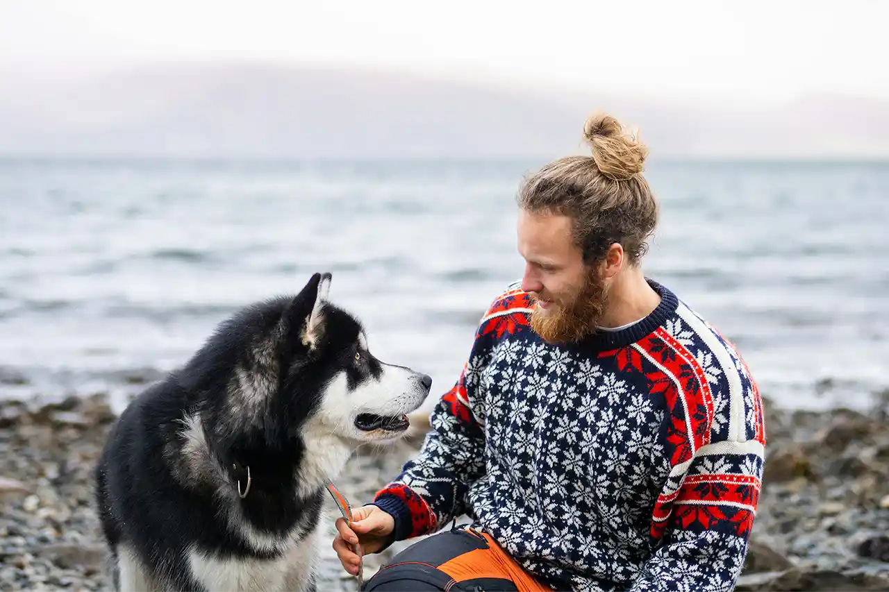Hund bekommt Fressen von der Hand