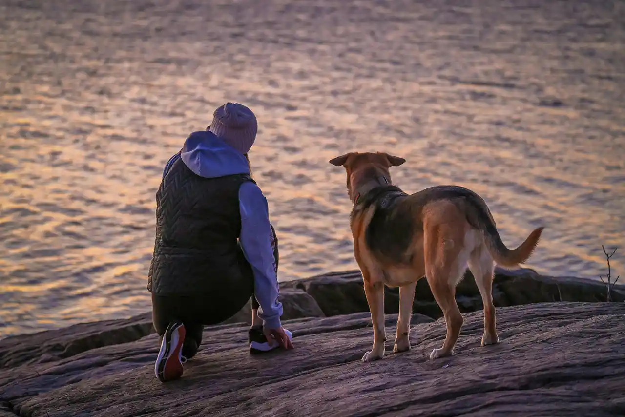 Hund und Mensch im Spiel