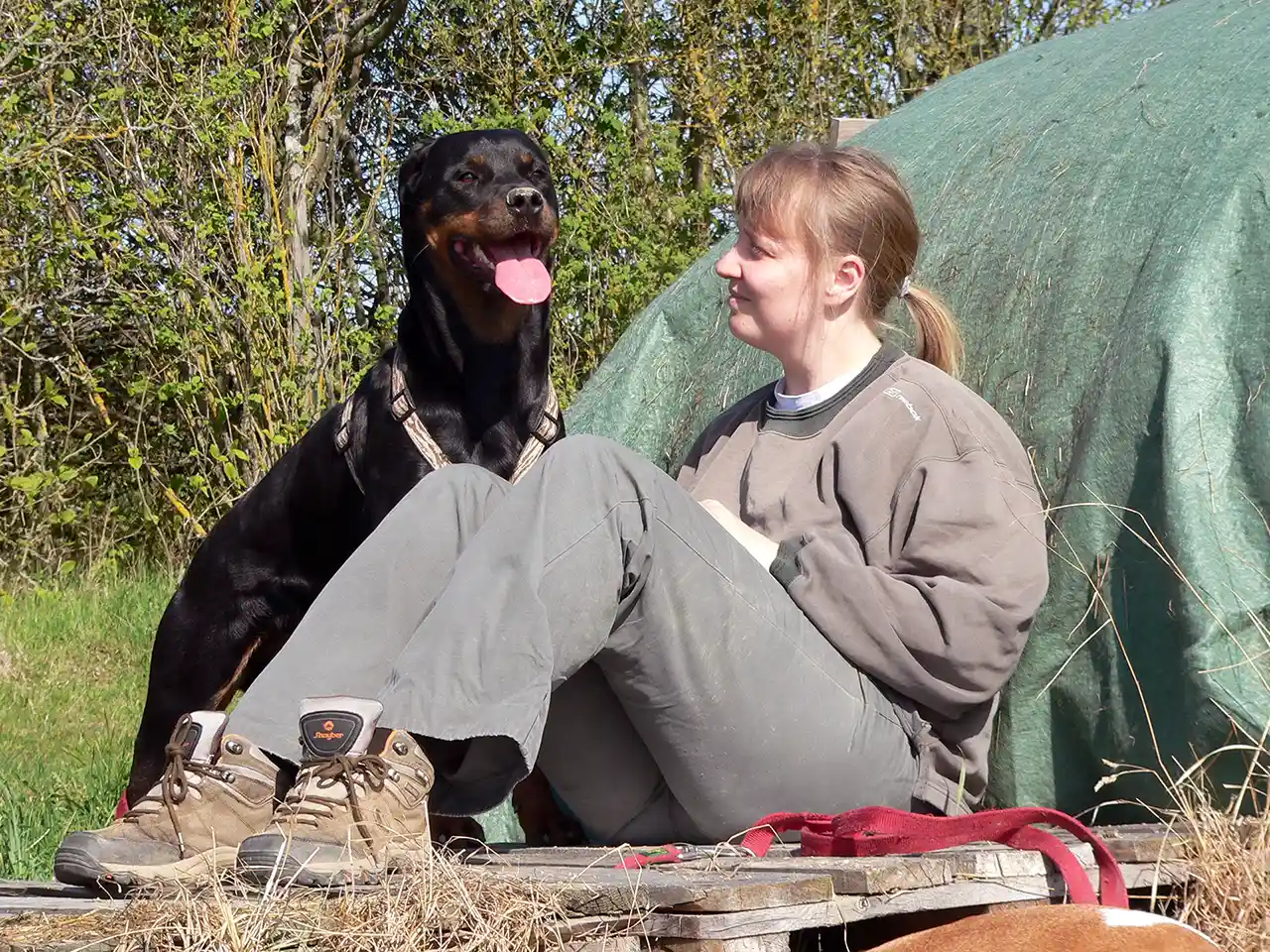 Daniela Grote spezialisiert auf sensible und traumatisierte Hunde